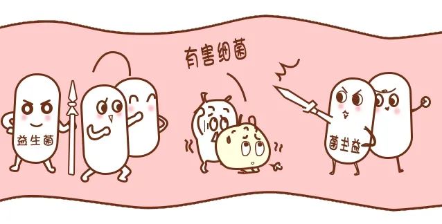 胃癌元凶幽门螺杆菌，，，益生菌竟是根除它的好帮手