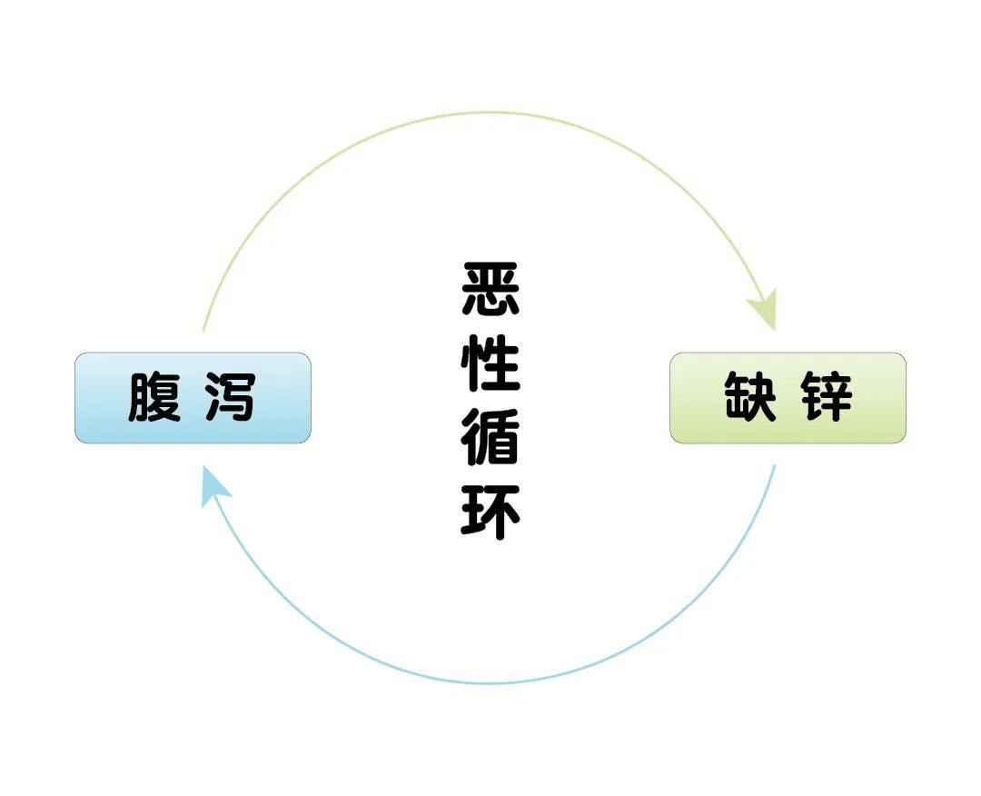 宝宝腹泻期间，，为什么要补锌？？
